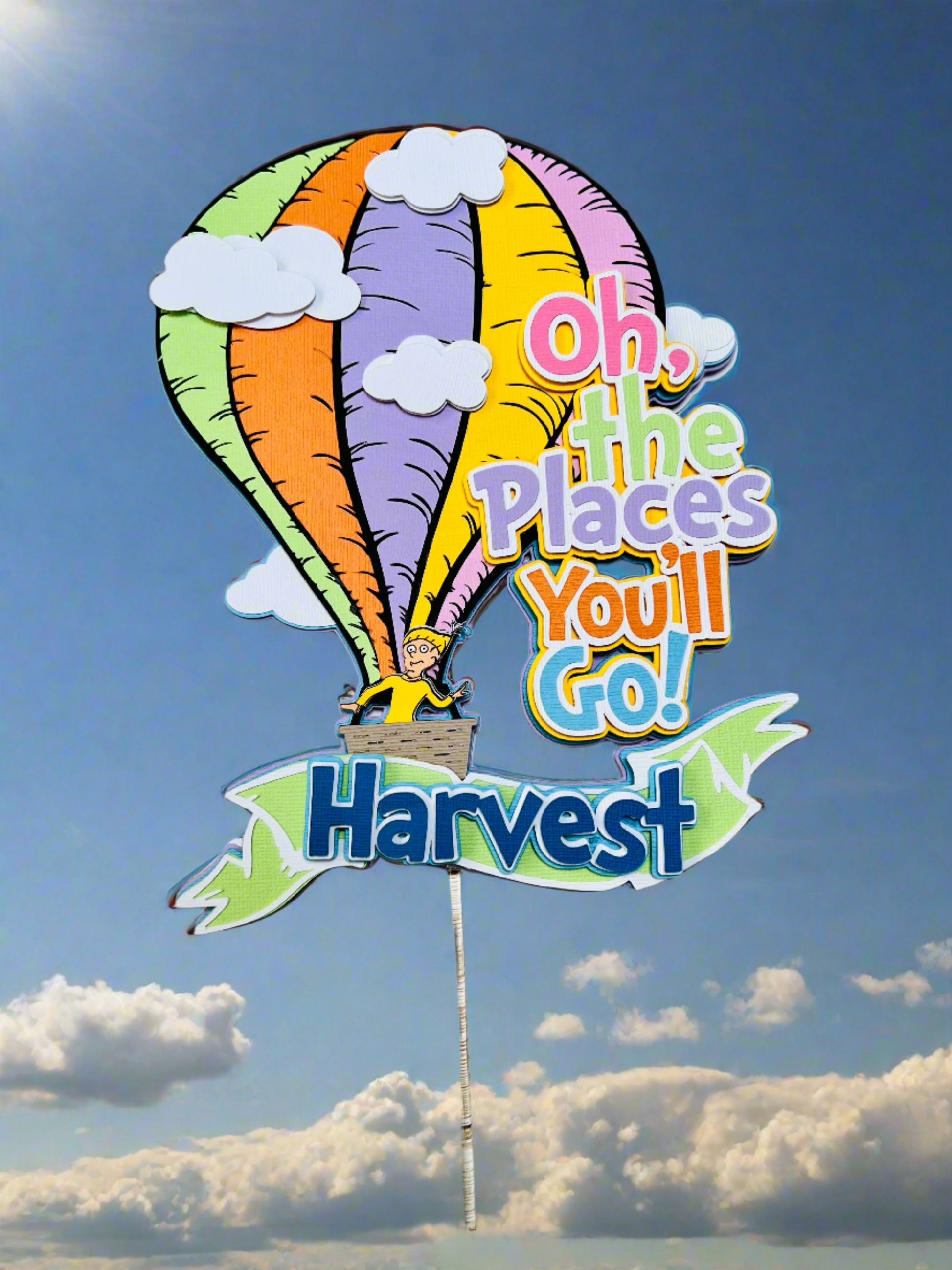 dr seuss the places you'll go cake topper