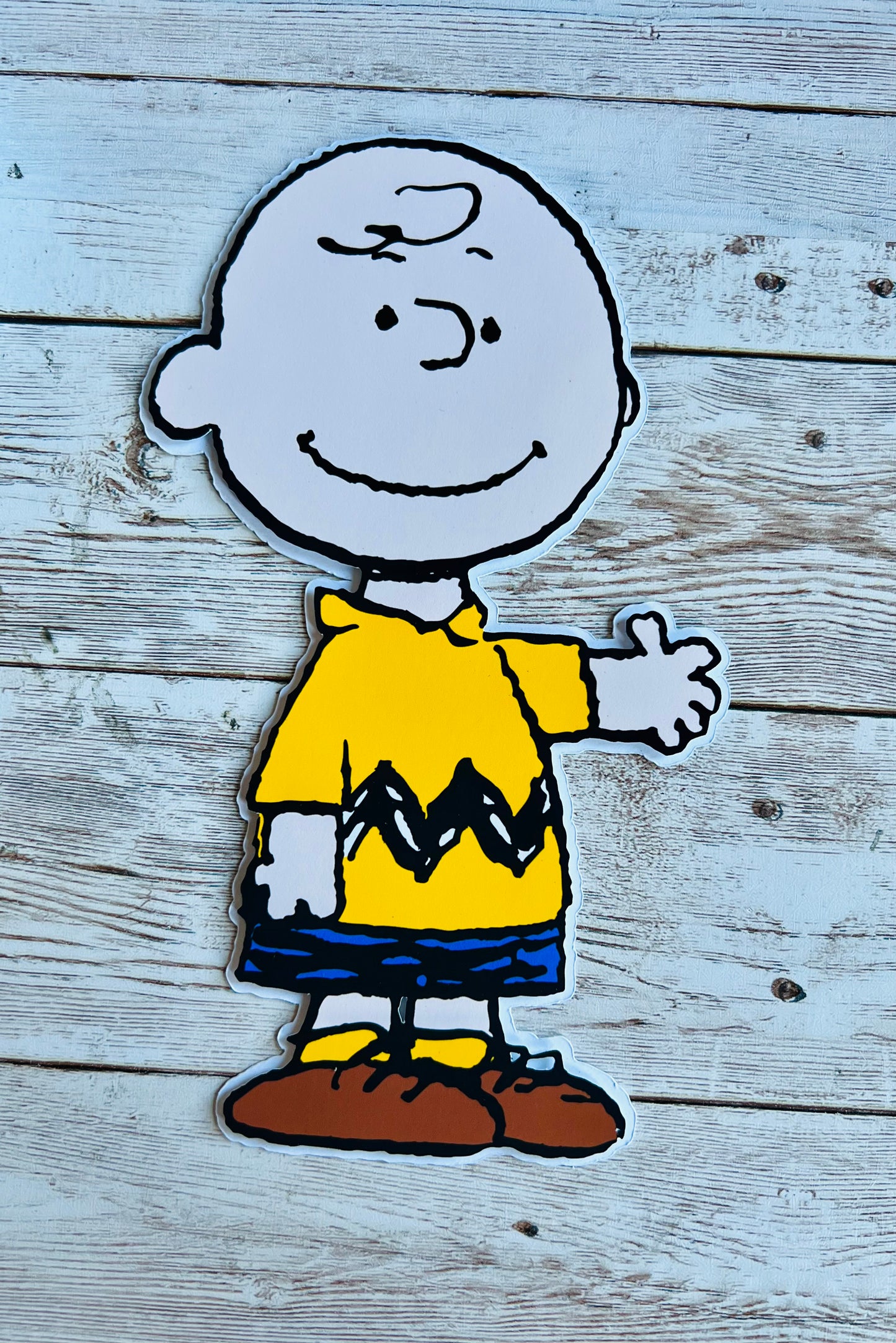 charlie brown party decor