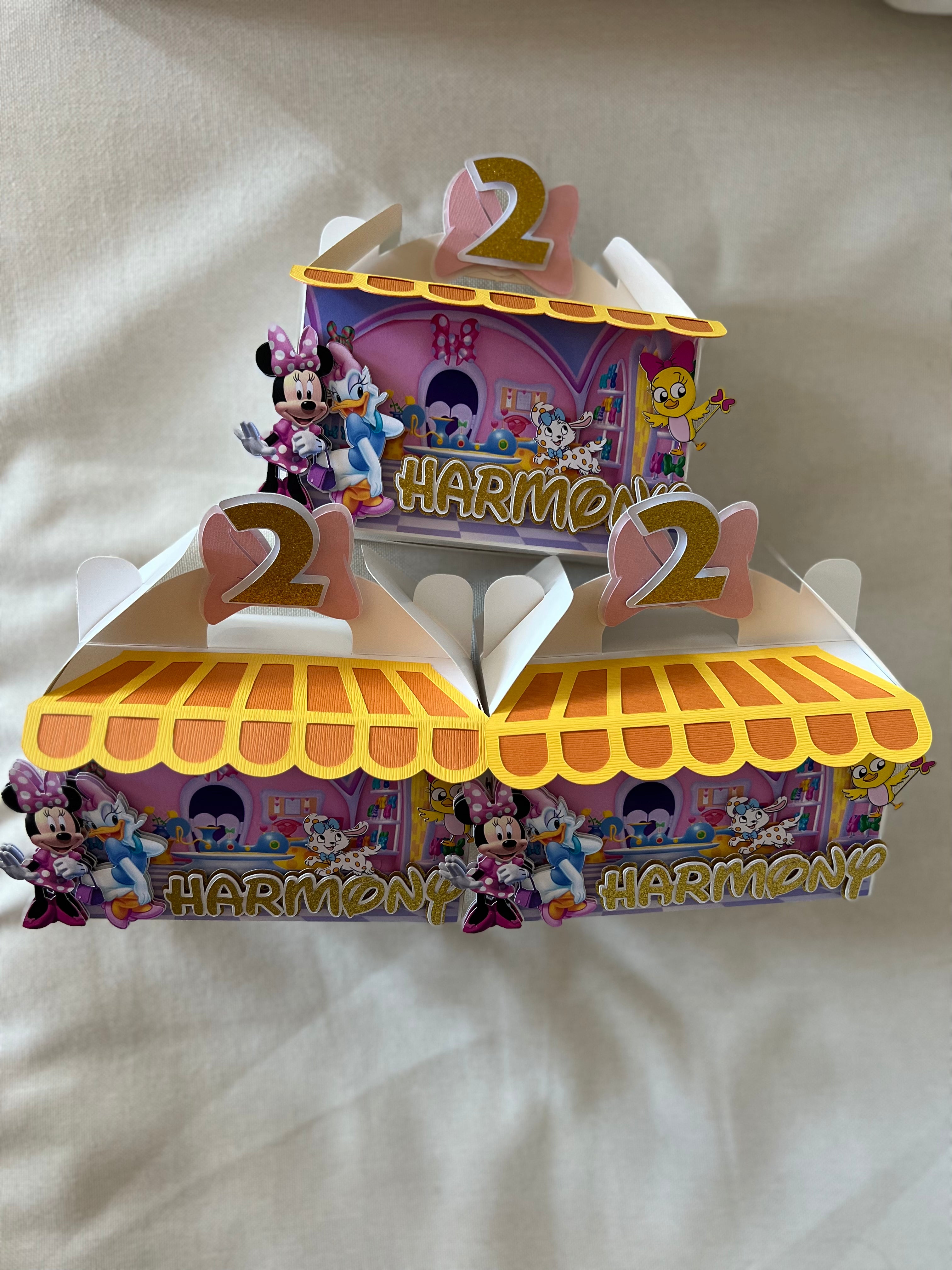 Minnie Mouse Boutique Favor Boxes